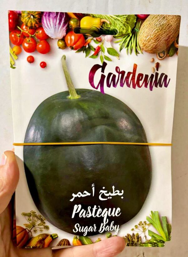 بذور البطيخ الأحمر
