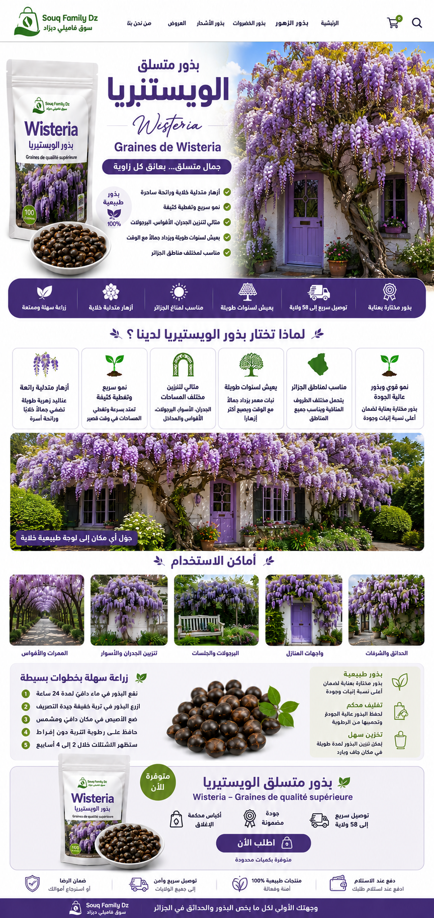 💜 بذور متسلق الوستيريا – Glycine (Wisteria) 🌿