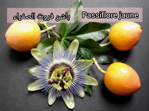 بذور العاطفة الصفراء Passiflore jaune