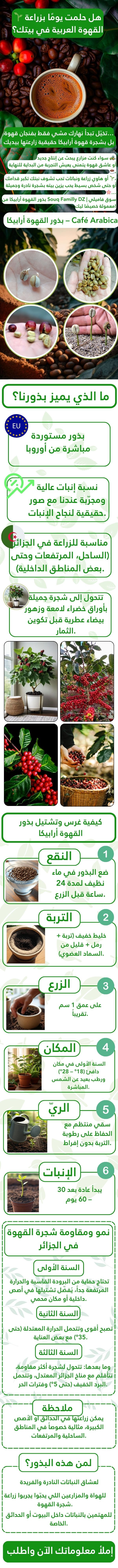 ARABICA