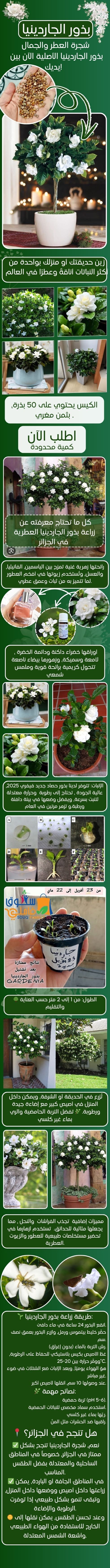 بذور الجاردينيا