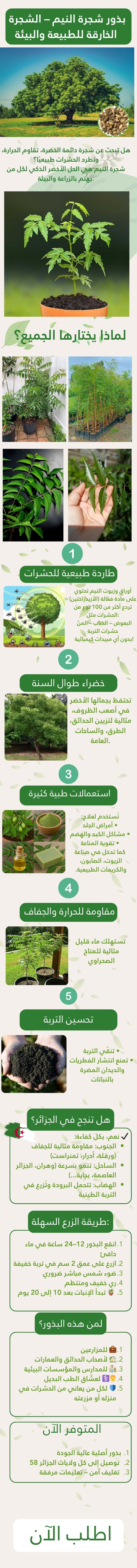 بذور شجرة النيم